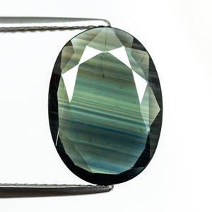 3.08ct 13.70x9.91x1.89mm Oval Portrait Cut Sapphire 19357-13