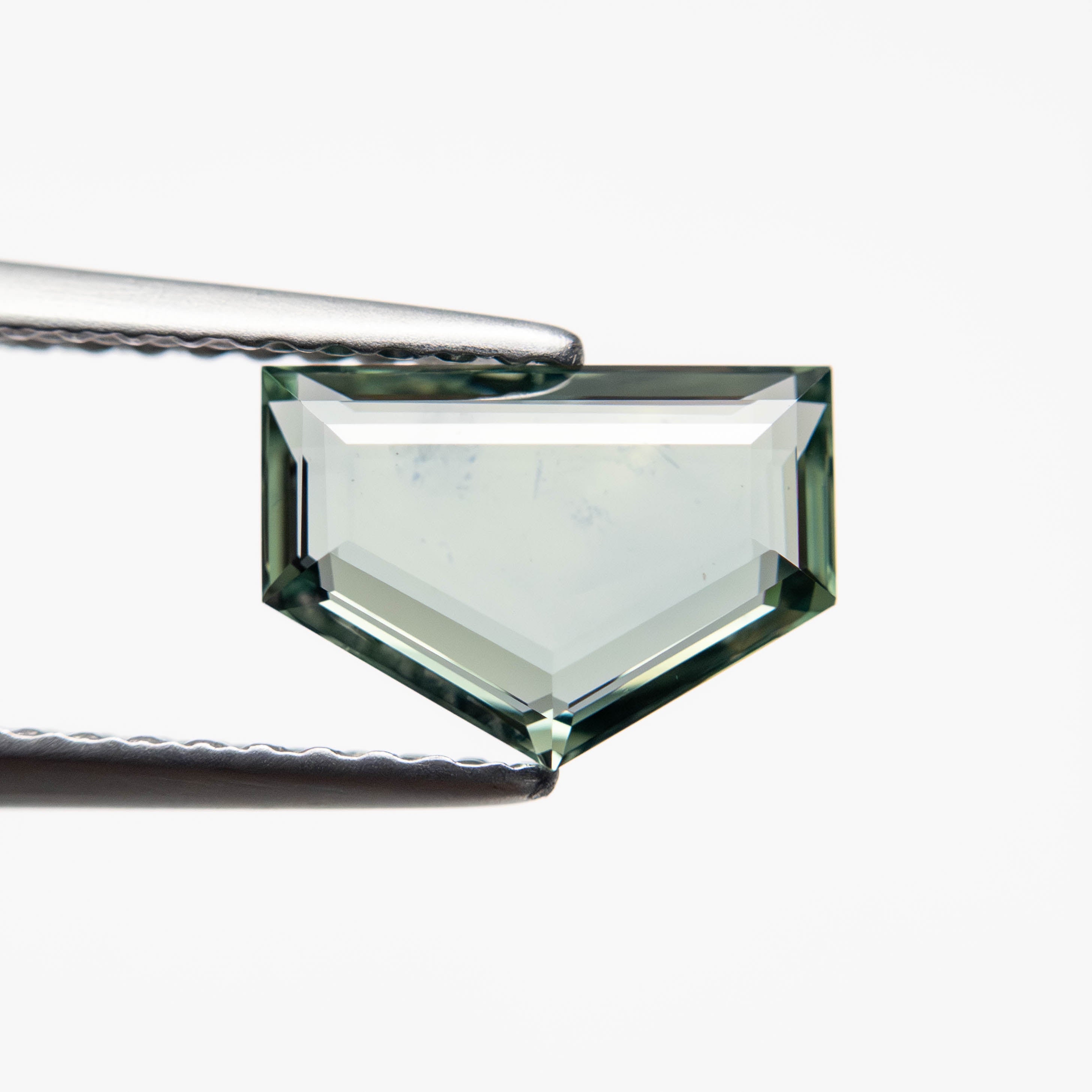 1.40ct 6.02x8.50x2.41mm Pentagon Portrait Cut Sapphire 23474-52