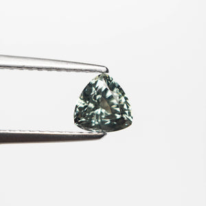 0.84ct 5.42x5.49x3.84mm Trillion Brilliant Sapphire 23675-02