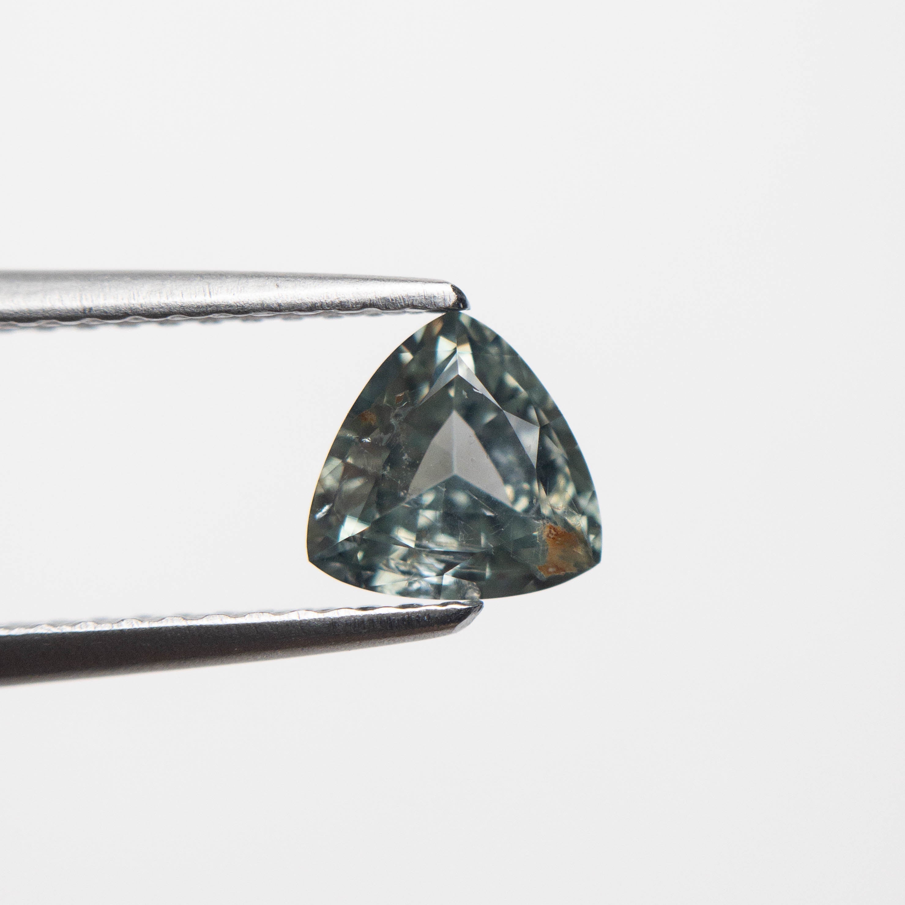0.88ct 5.96x6.06x3.20mm Trillion Brilliant Sapphire 23675-07