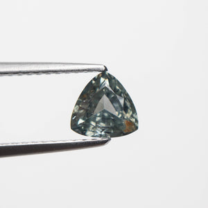 0.88ct 5.96x6.06x3.20mm Trillion Brilliant Sapphire 23675-07