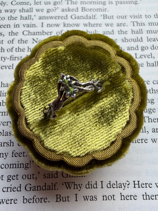 RTS Alexandrie Mirkwood