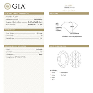 1.00ct 8.20x5.94x2.26mm GIA VS1 D Oval Rosecut 20724-02