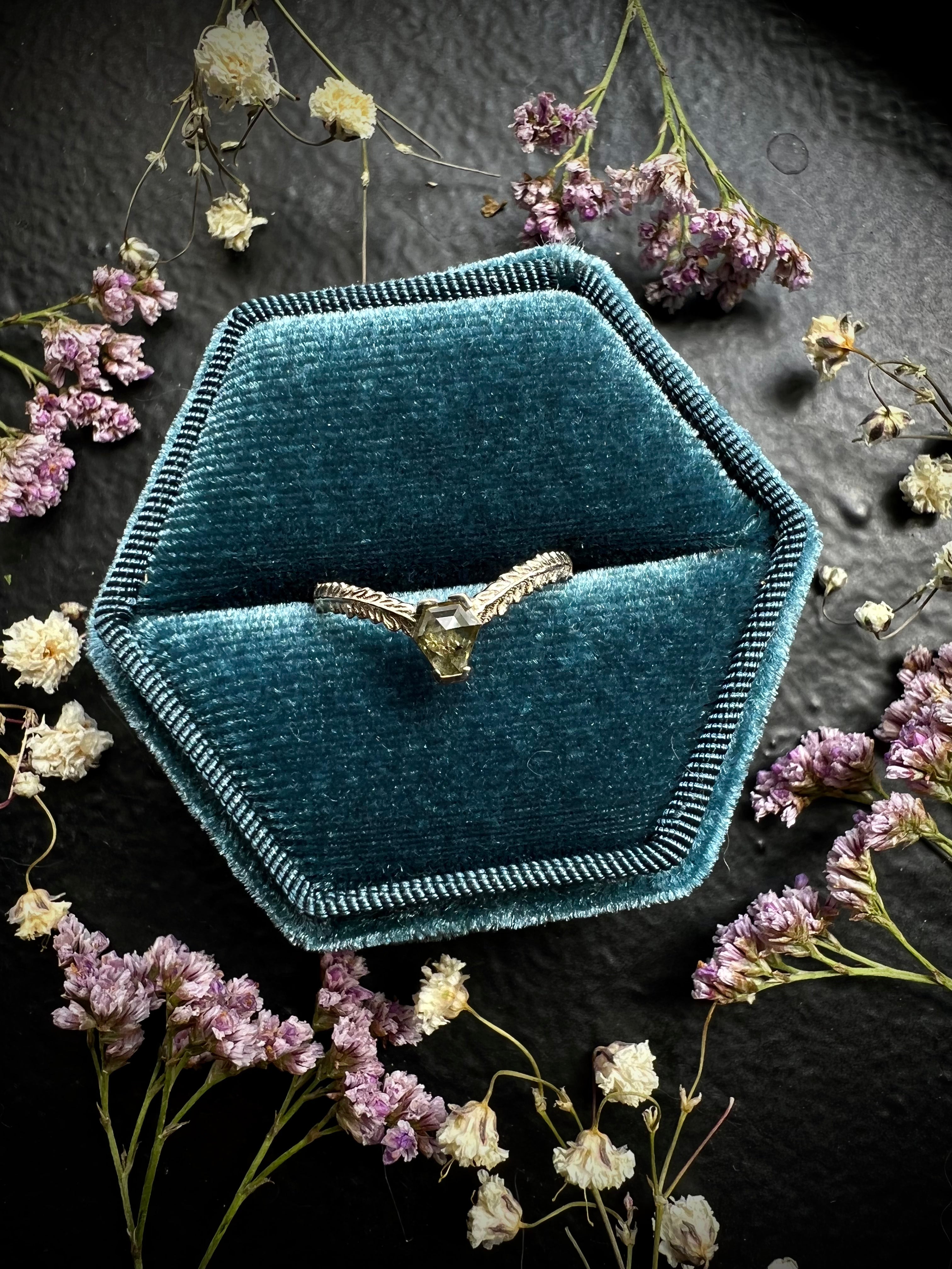 Diamond Shire Band