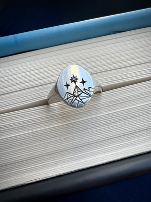 Silver Envy Signet Ring