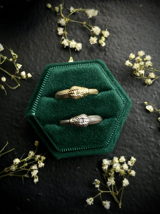 Ouroboros Ring
