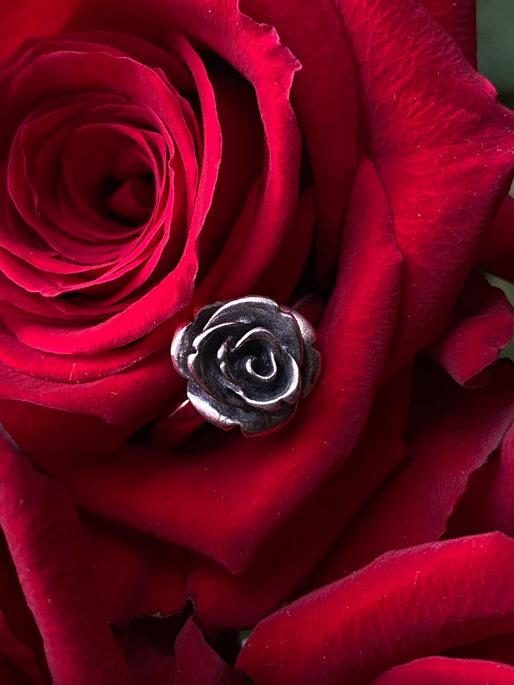 Rose Ring